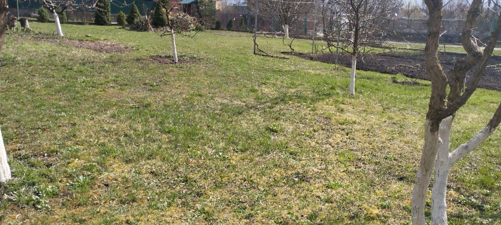 Продається земельна ділянка в Лезнево
