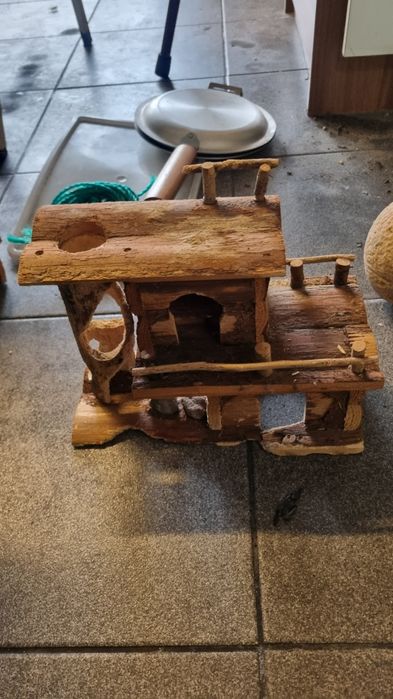 Artigos para hamster