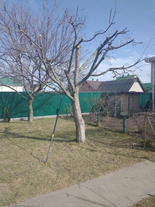 Послуги садівника