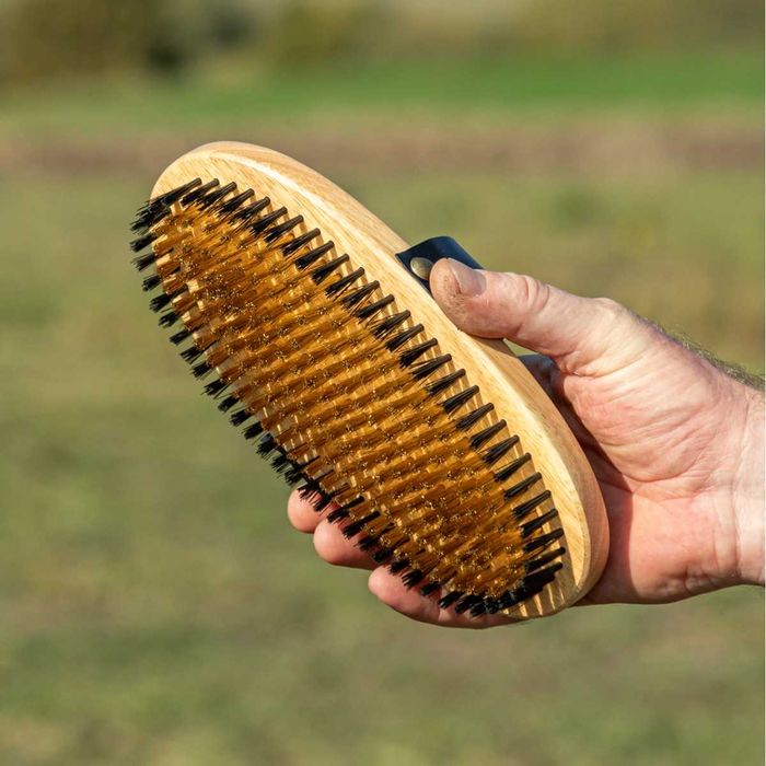 Szczotka z mosiężnego i nylonowego włosia do skóry i sierści Konia