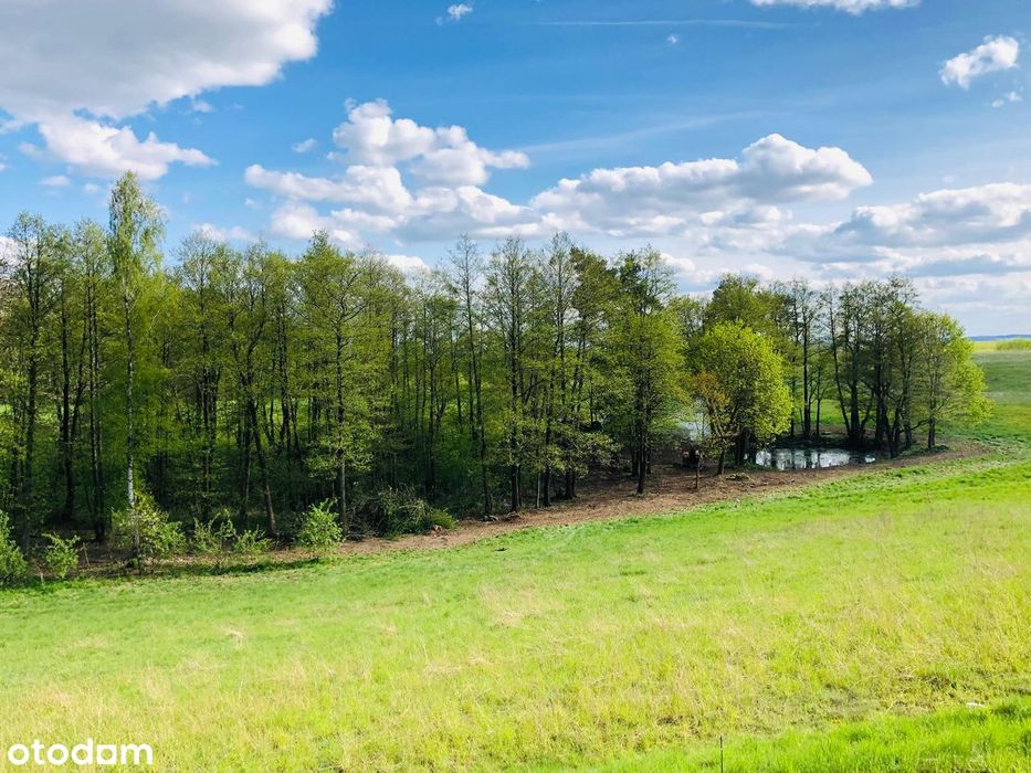 Działka rolno-budowlana z mediami w drodze - 11322 m²
