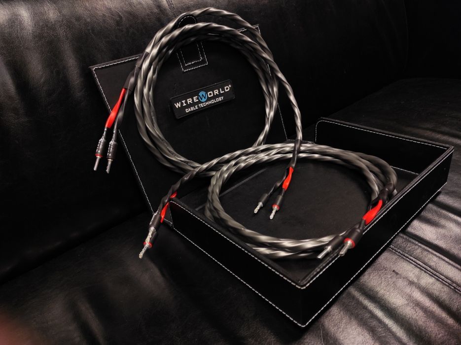 * WireWorld Equinox 10 kable przewody głośnikowe konfekcja Trans Audio