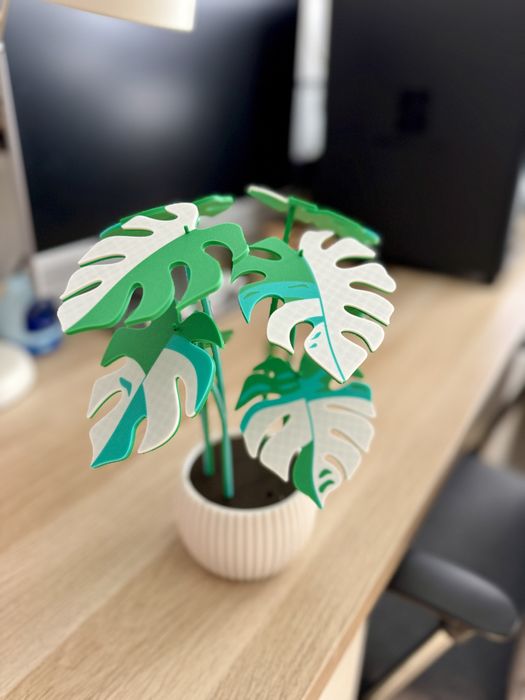 Planta com folhas base para copos