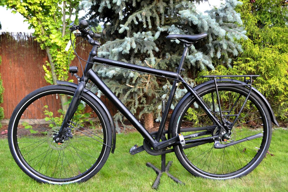 Rower trekkingowy miejski Dynamics Magic Style 8 męski 55 cm