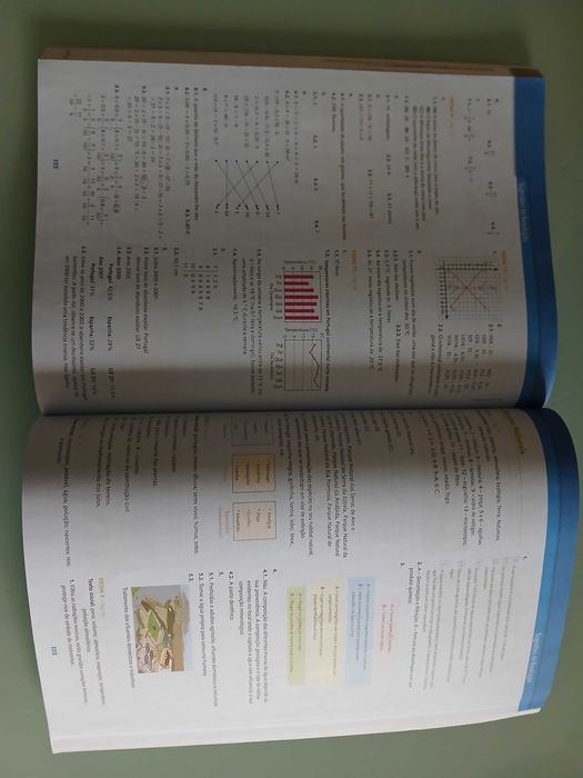 Cadernos de Revisão 5.º Ano (Português, Matemática, etc.)