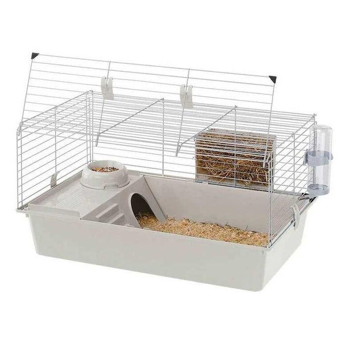Coelhos anões mini ,KIT Completo super dóceis e inteligentes