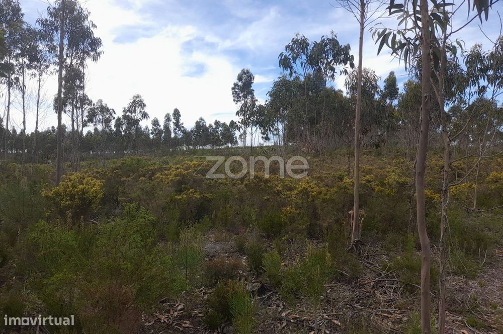 Terreno Rustico com 12580m2