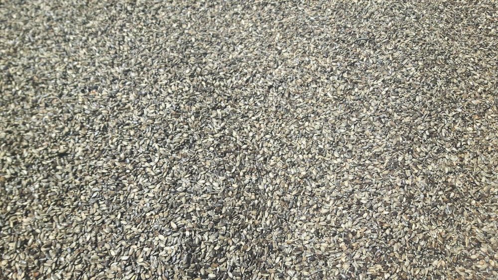 NA OLEJ Len Konopie Krokosz Czarnuszka Ostropest Lnianka i inne