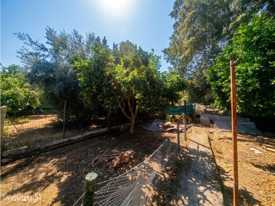 Moradia T2 Totalmente Remodelada com Terreno e Poço em Vale do Pereiro