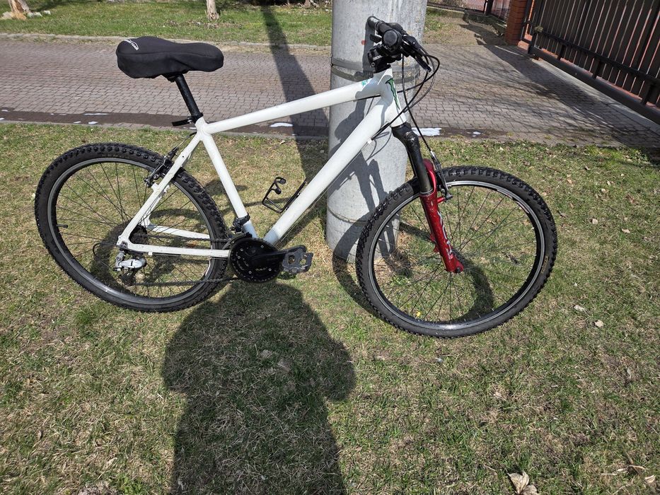 Rower MTB na za dobre pieniądze