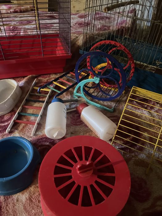 Кігтеточка бу для котика, клітка для хомяка.