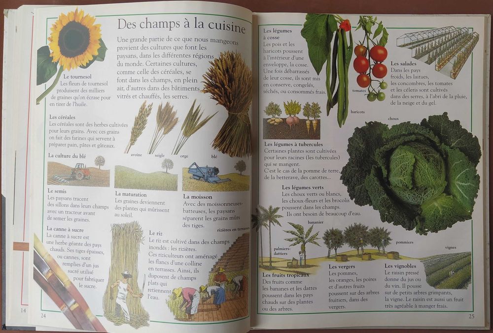 Ma première encyclopédie