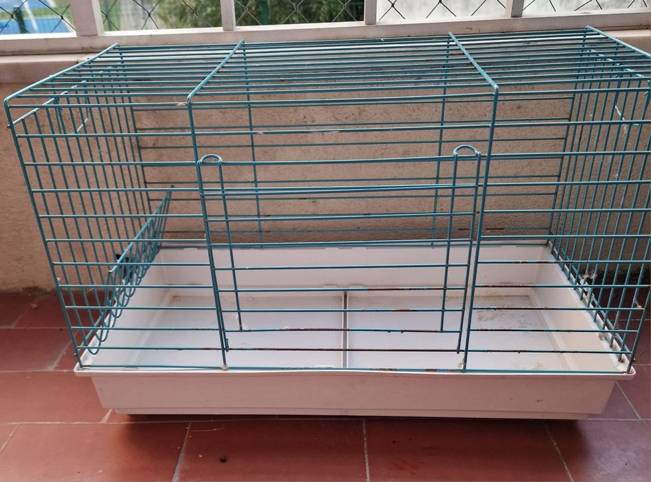 Gaiola para coelho anão