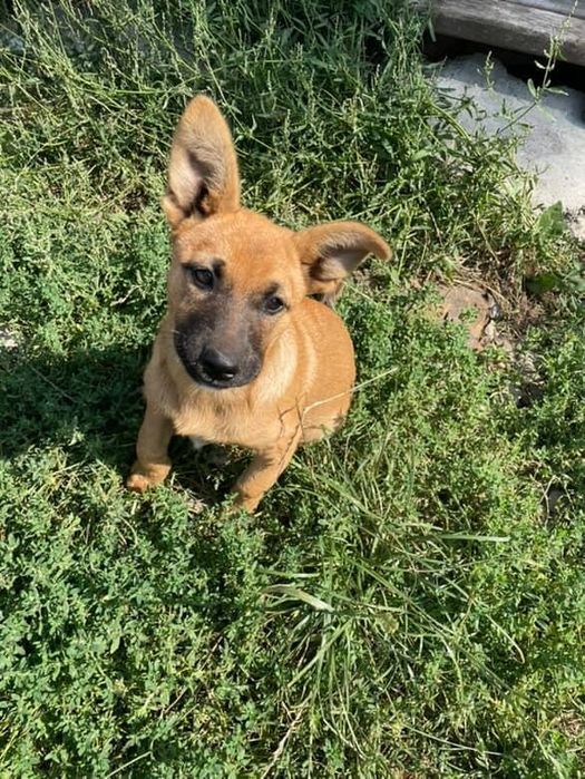 Гарнюні , красуні та красунчики ,Чернівці