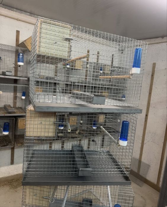 Gaiolas novas para criação de aves..