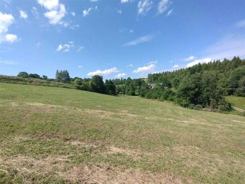 Działka rekreacyjna/rolna 0.34ha Binarowa