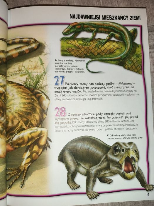 Encyklopedia dla dzieci dinozaury i życie prehistoryczne
