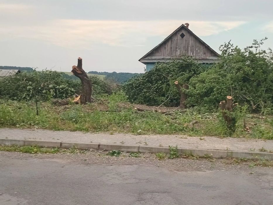 Зрізання дерев/кущів/розчищеня ділянок