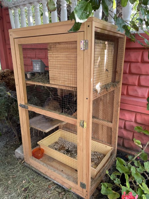 Продам двух декоративных кроликов с клеткой