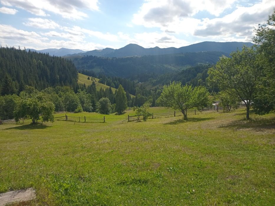 земельна ділянка