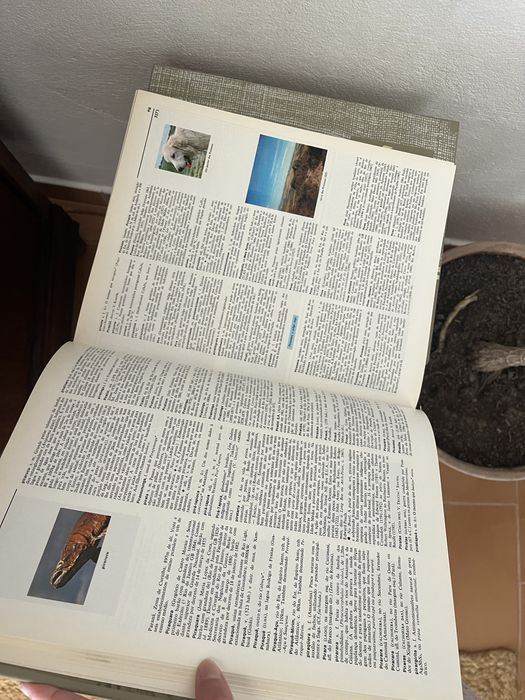 Grande enciclopédia Delta Larousse