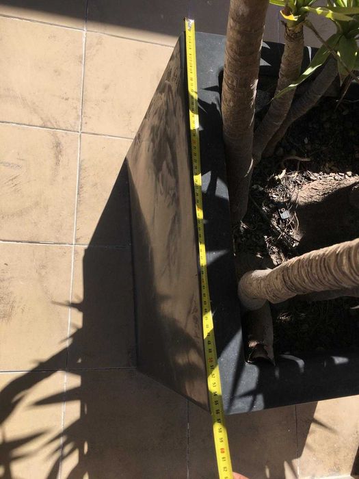 Vasos gigantes com Yucca altas