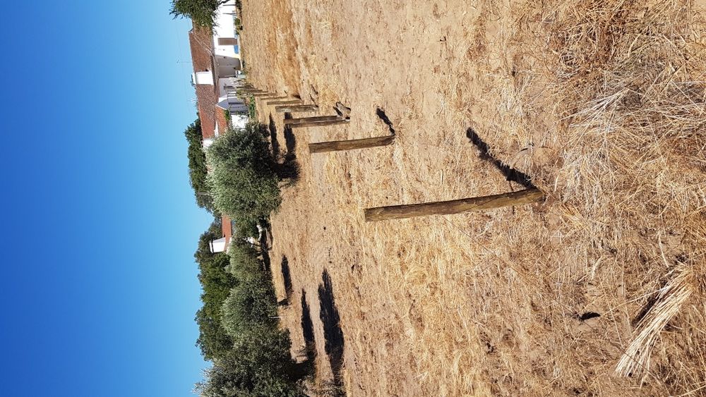 Limpezas de terrenos, vedações e outras prestações de serviço