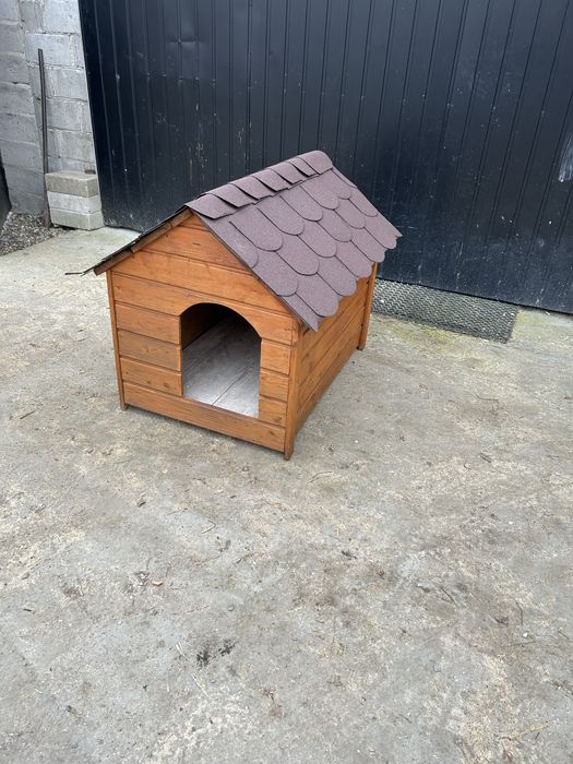 Buda     dla    psa.