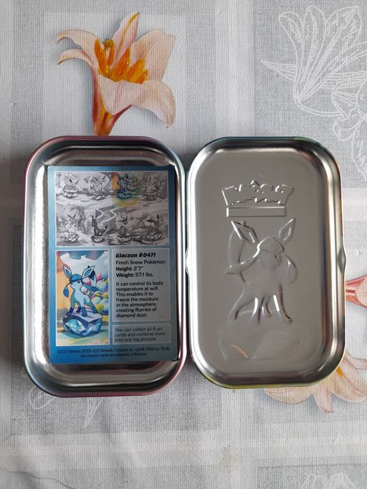 Caixa Metálica Pokémon