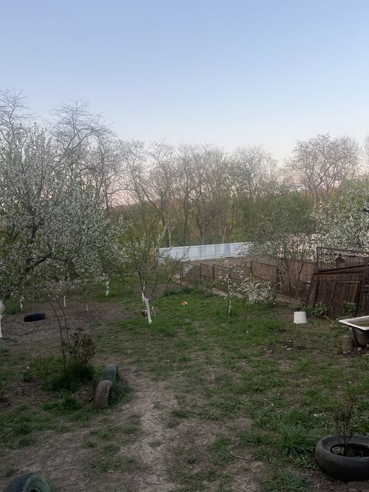 Будинок у чудовому місці