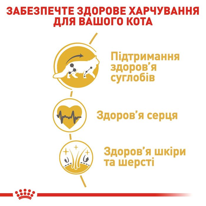 Royal Canin MaineCoon, мейн кун  2кг+4паучі