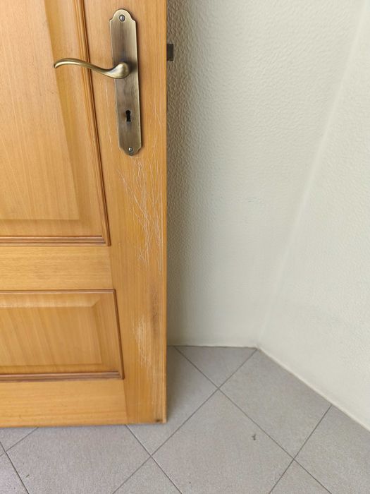 Conjunto 5 portas interiores madeira cor carvalho (2 com vidro)