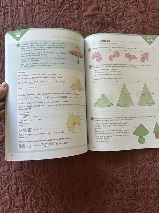 Caderno de atividade Matematica 8