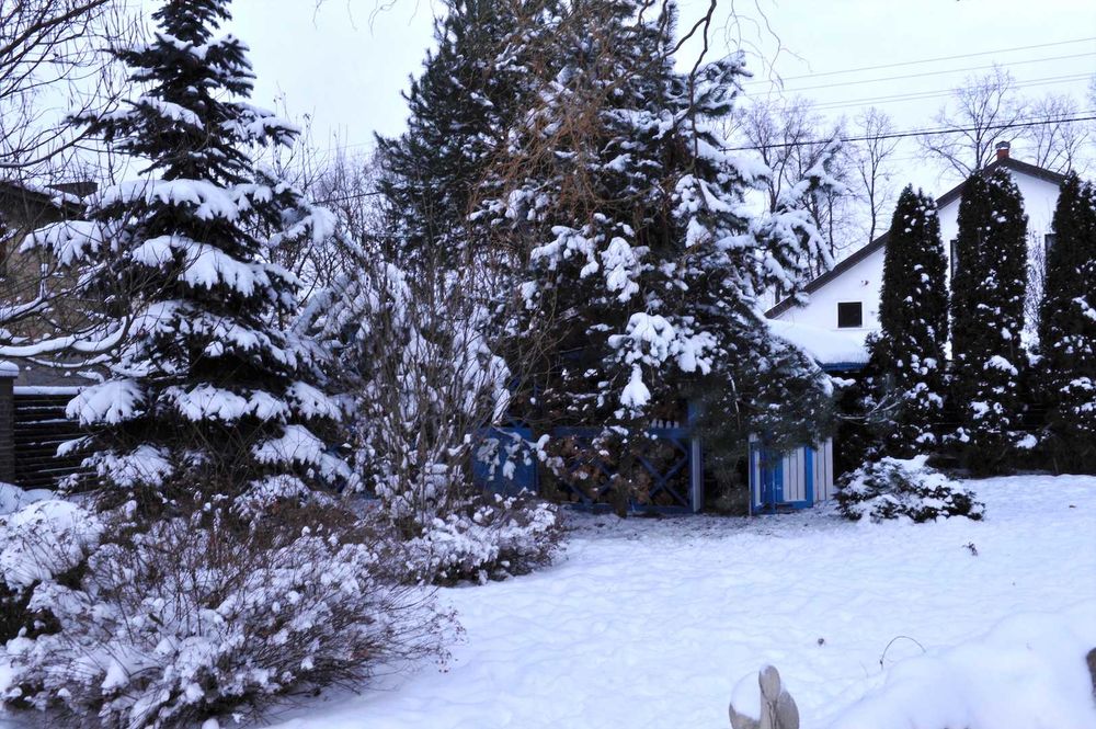 Дизайнерский дом с бассейном  посуточно . Красивый сад с озером, сауна