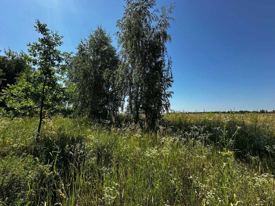 Продаж земельної ділянки 38 соток - ОСГ. 50 метрів від траси. ID:678