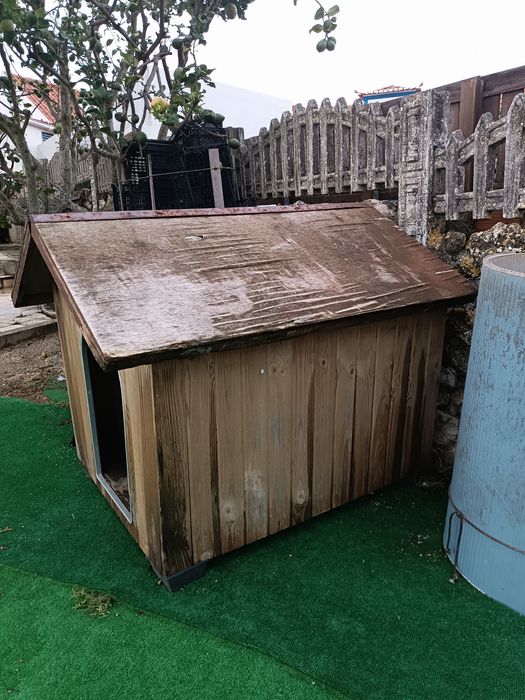 Casota espaçosa, em madeira, ideal para cães de porte grande ou médio.