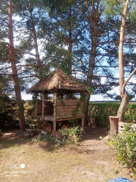 Wycinka drzew, pielegnacja, cięcie, usuwanie wywrotów