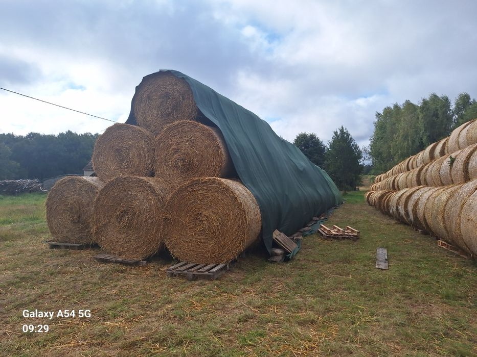 Słoma 145×120 owsiana i żytnia 2025