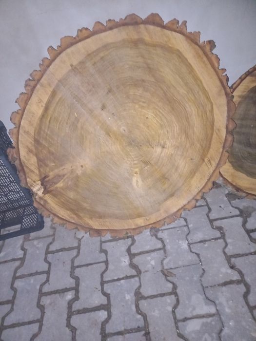 Plastry Topoli różne wymiary