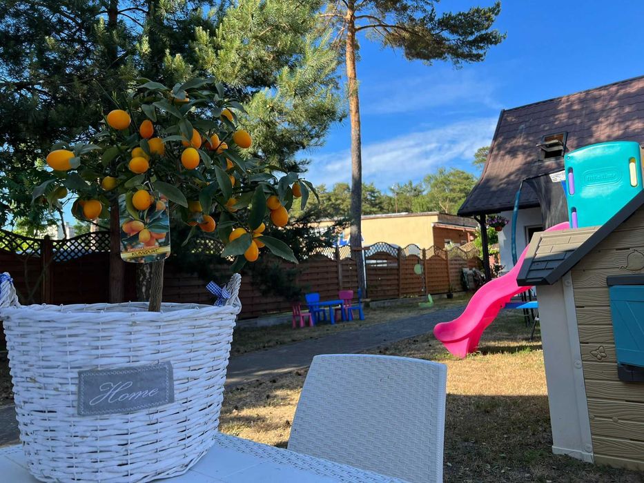 Domki w Międzywodziu - terminy od 22 sierpnia - Promocja - 150m do plaży