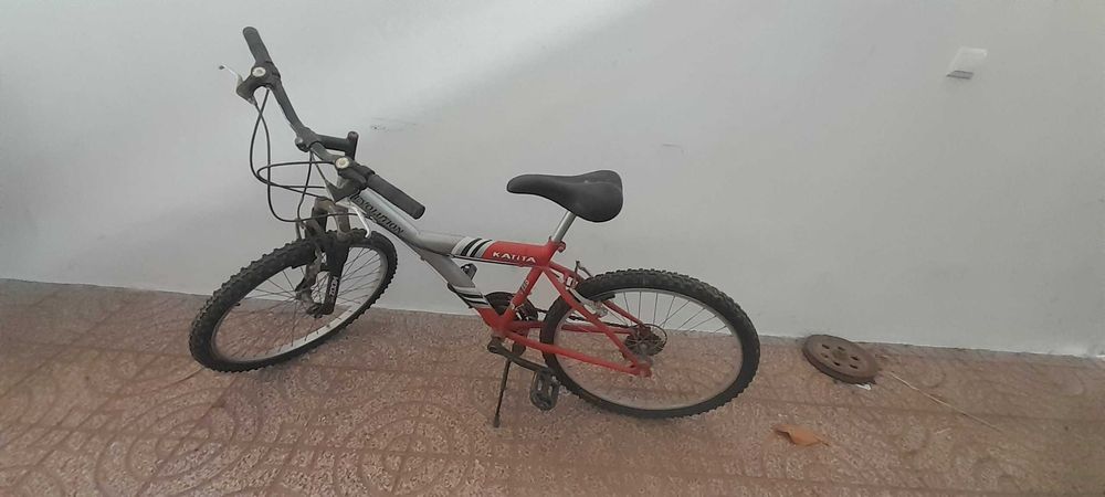bibicleta junior