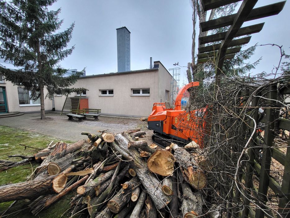 Wycinka drzew, pielęgnacja drzew, korekta drzew