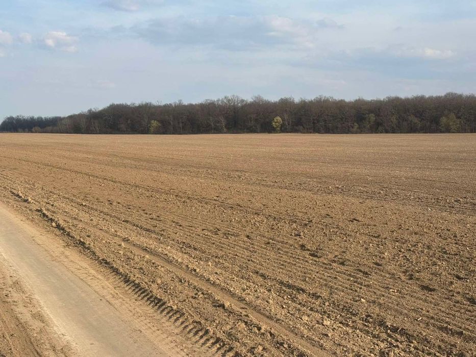 Продам пай 2.2 га в Колоденці є доїзд. Місцевість рівнинна