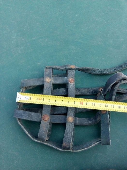 Строгач ошейник, намордник