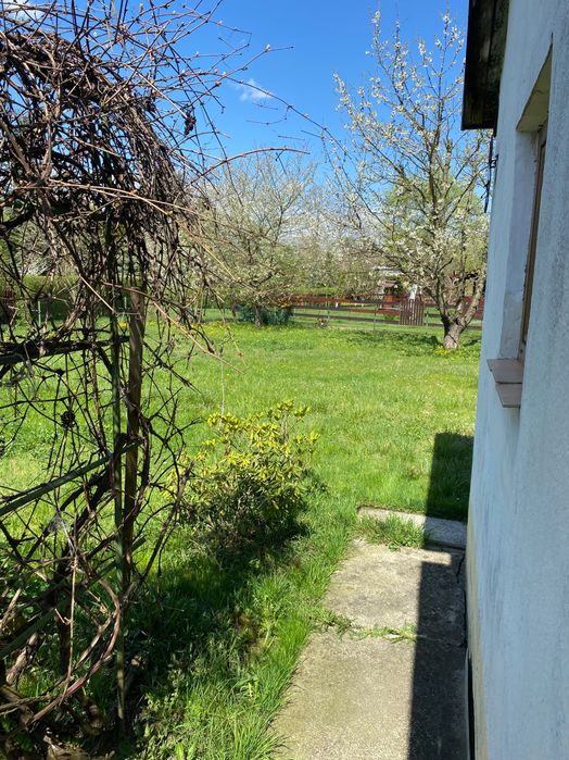 Ogródek działkowy działka Tarnów ROD Jaskółka Mościce - Widok 4