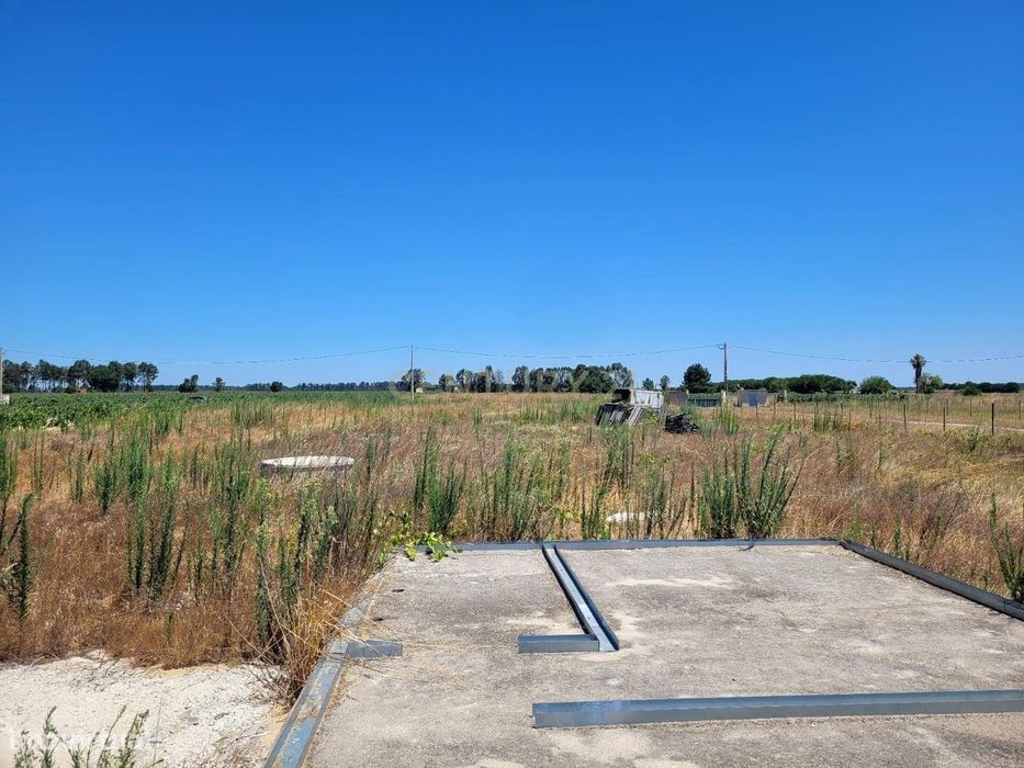 Oportunidade em Almeirim – Terreno 4.920 m² — Almeirim, Santarém