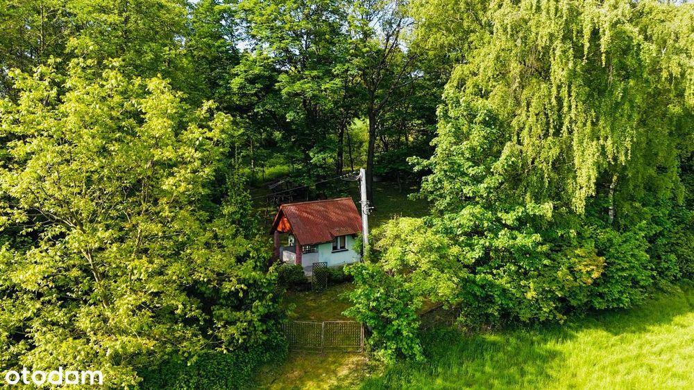Zadbana działka rekreacyjna z domkiem letniskowym Biskupice - Widok 4