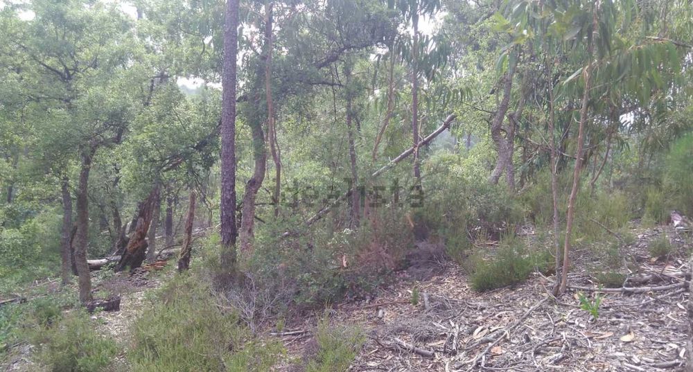 Terreno para VENDA ou PERMUTA 3500 m2