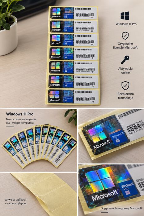 Licencja Windows Profesional