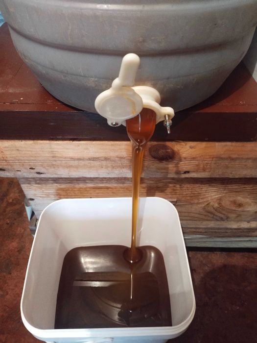 Зелена гречка (не смажена )